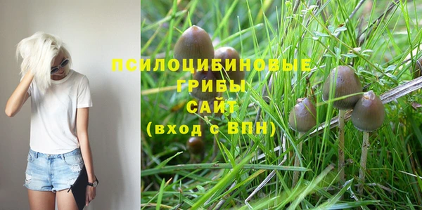 а пвп мука Новодвинск