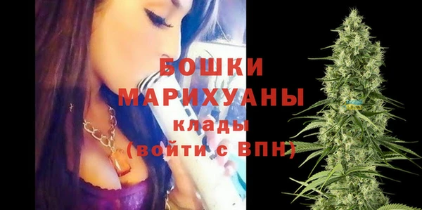 гидропоника Болотное