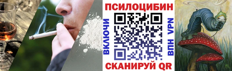 Галлюциногенные грибы GOLDEN TEACHER  Черноголовка 